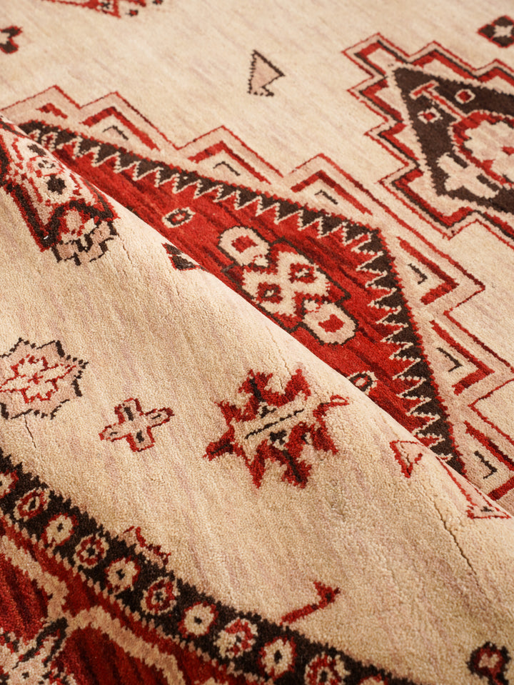 Gold & Red Traditional Medallion Area Rug with Ornate Border