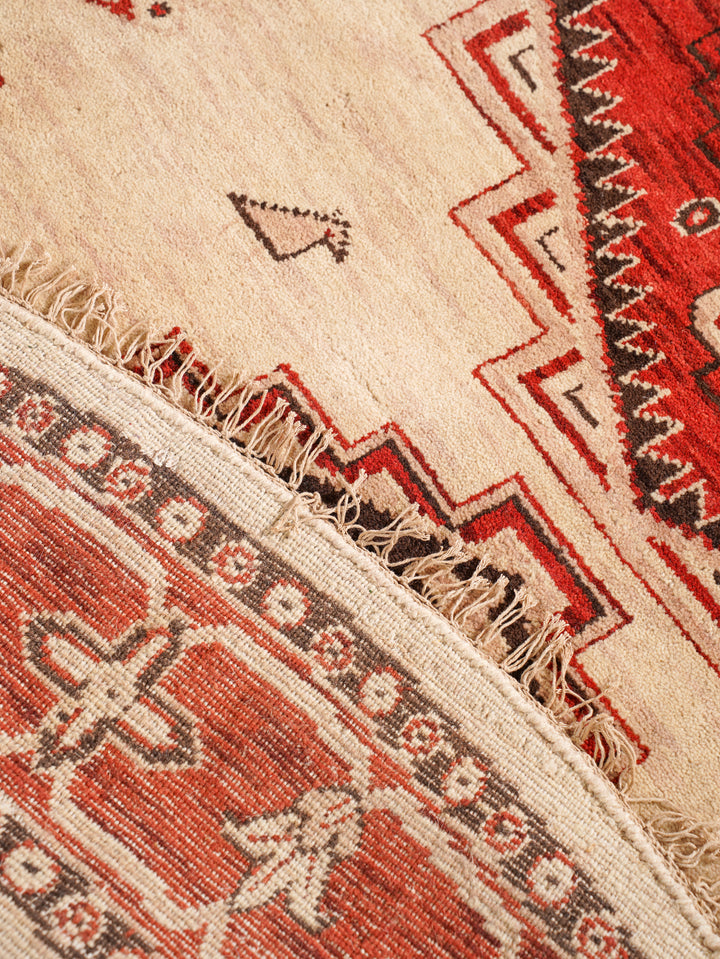 Gold & Red Traditional Medallion Area Rug with Ornate Border