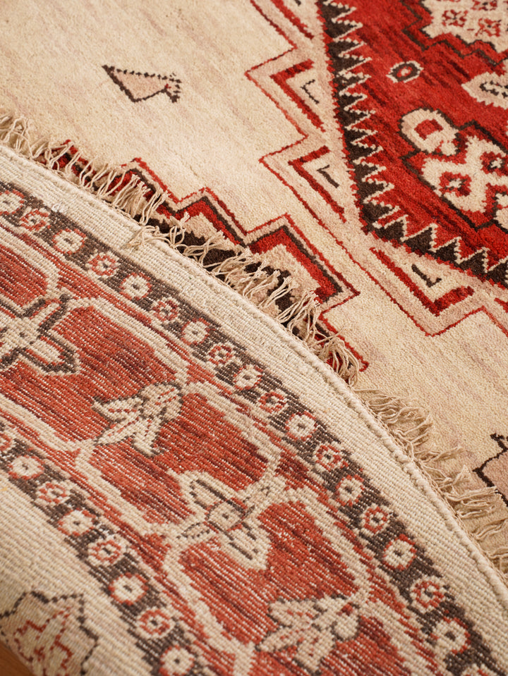 Gold & Red Traditional Medallion Area Rug with Ornate Border