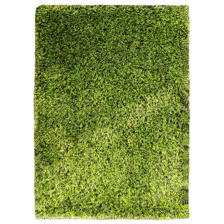 Hand Tufted Shag Green Polyester Solid Rug