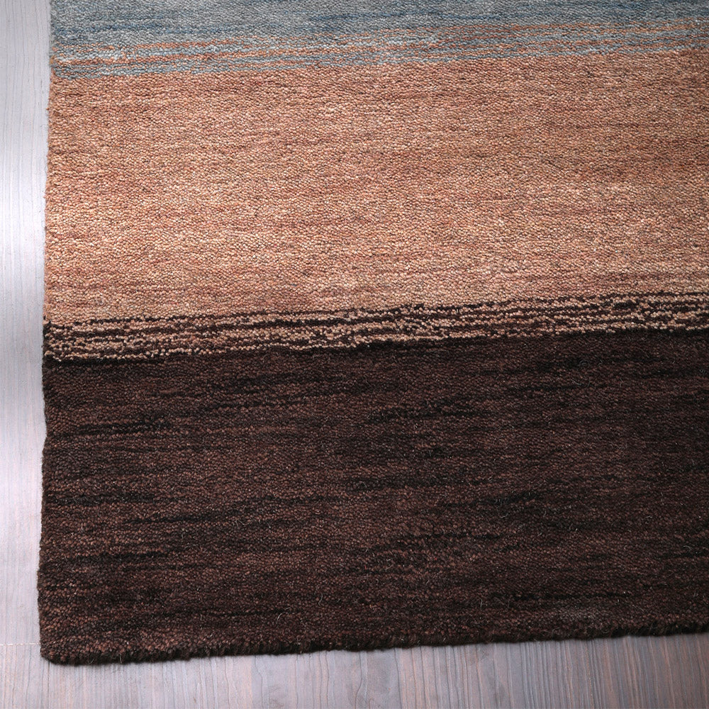 Hand Knotted Wool Area Rug Contemporary Brown Beige L00206