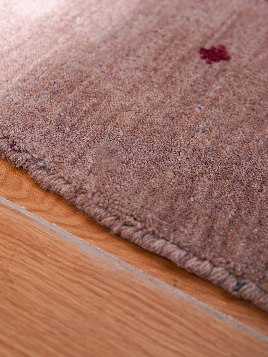 Contemporary Hand Knotted Wool Rug with Minimalist Border Design