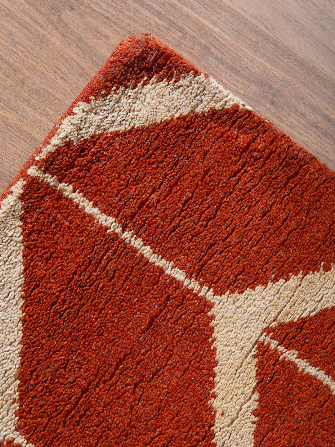 Hand Knotted Wool Area Rug Geometric Beige Brown N01052